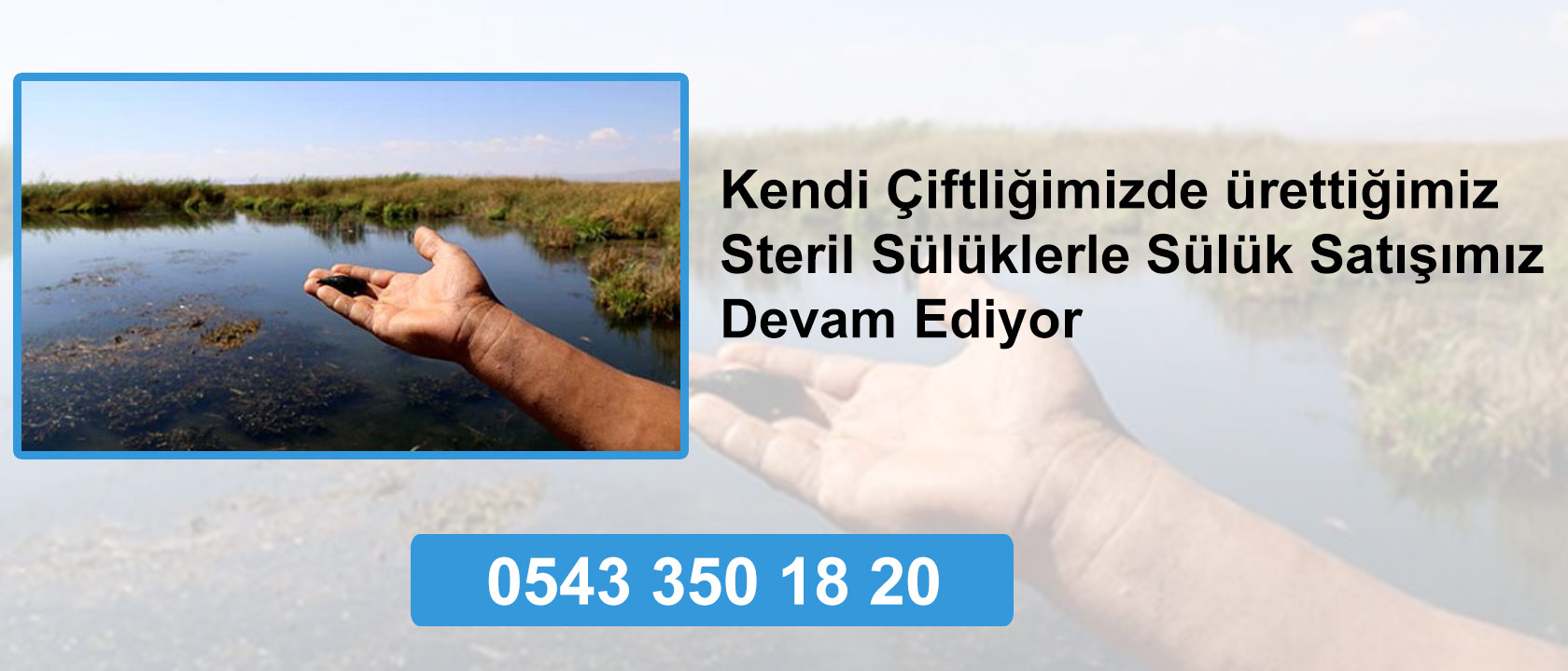 Sülük eğitimi